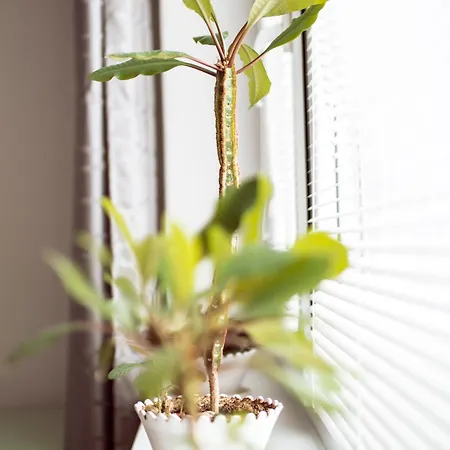 Dom Pod Zamkom Rum i privatbostad *